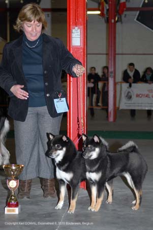 gal/Expo_janvier_2008/zoom (104).jpg